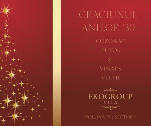 Eko Group Vila: O Întoarcere în Eleganța Crăciunului Anilor '30
